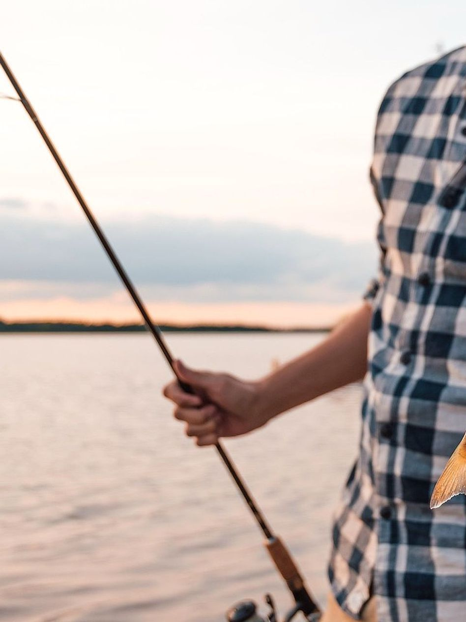 La pesca cotidiana